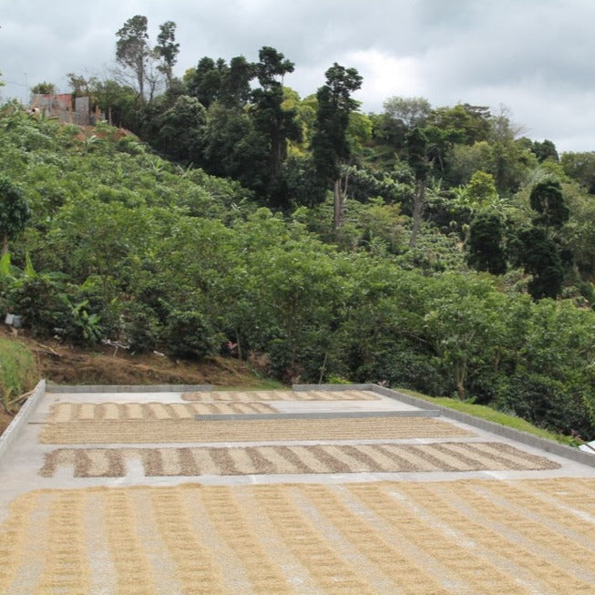 Costa Rica La Isabella