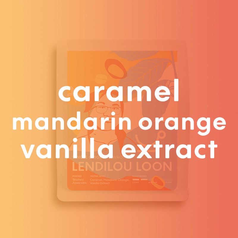 Lendilou Loon Anaerobic Coffee Set