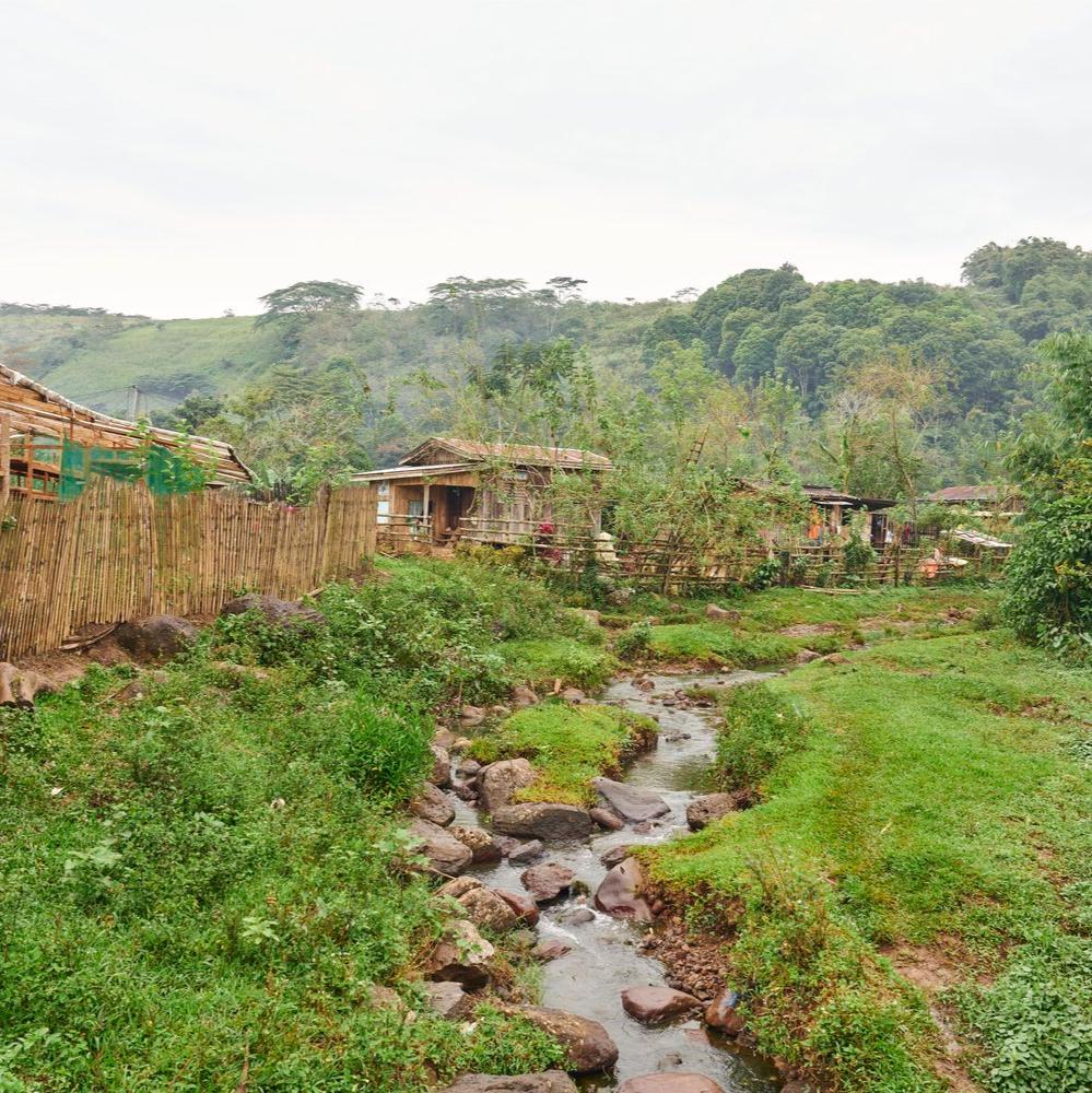 Philippines Sitio San Roque Fine Robusta