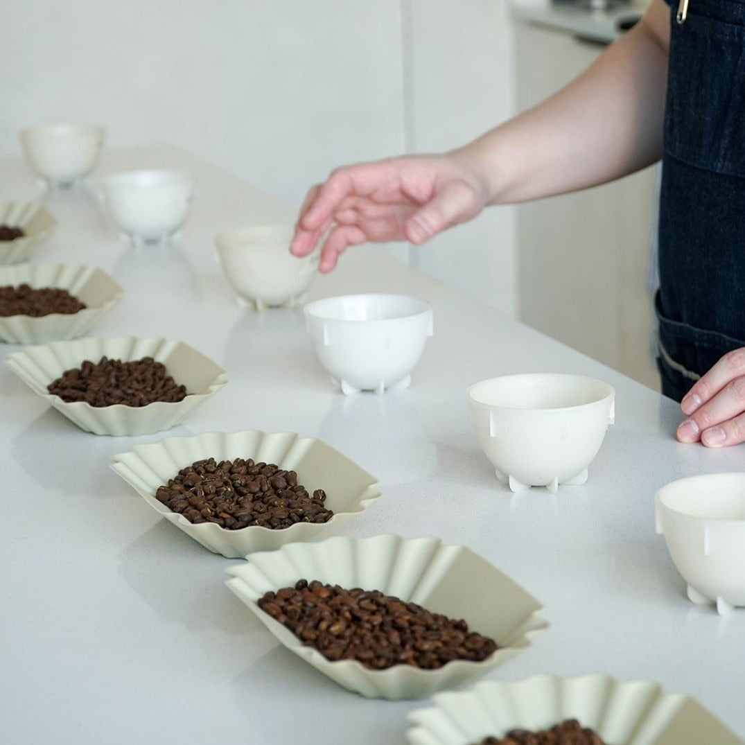 Coffee Tasting & Cupping Workshop