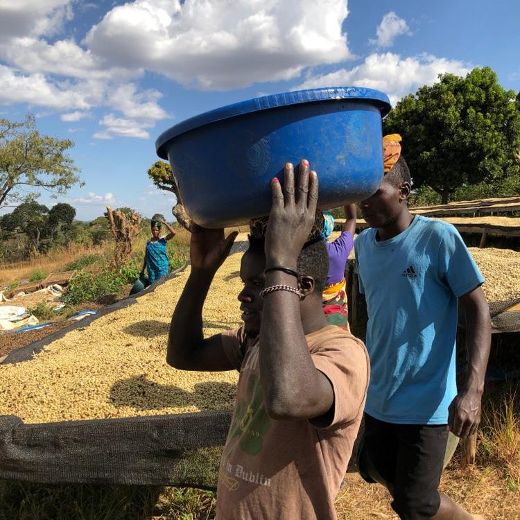 Tanzania Lunji Estates