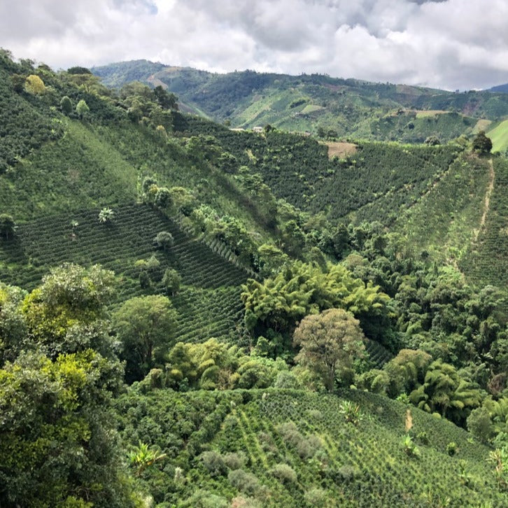 Colombia La Palma