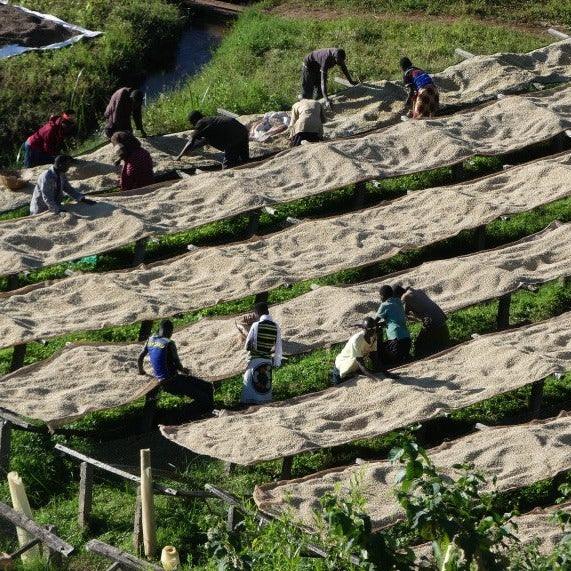 Burundi Kibingo