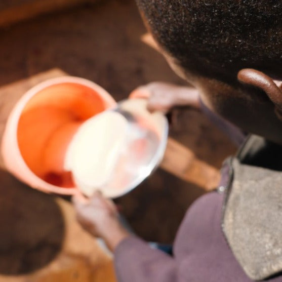 Burundi Kibingo