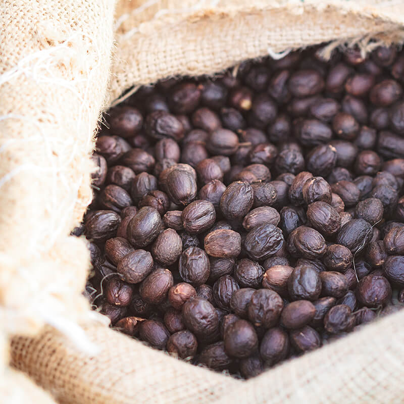 Sleepyhead Decaf - Coffee Blend | Plain Sight Coffee Philippines