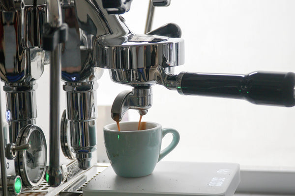 Decaf vs. Regular Coffee: What’s the Real Difference?