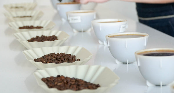 Why Coffee Prices Continue to Increase and How We Maintain Our Quality