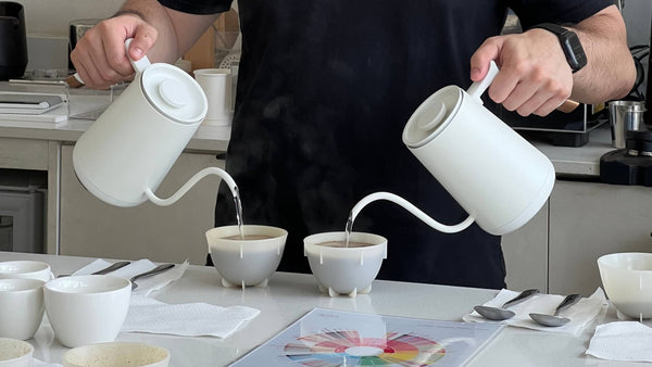 The Do’s and Don’ts of Coffee Cupping Sessions