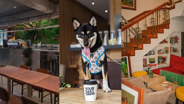 9 Pet-Friendly Specialty Coffee Shops To Visit in Metro Manila