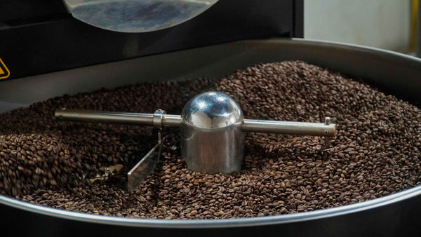 Roasted Coffee Beans: Which Roast Level Is Right for You?