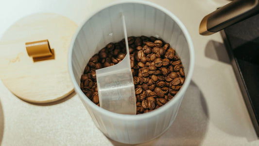Should You Freeze Your Specialty Coffee Beans?