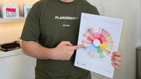 How To Use a Coffee Taster’s Flavor Wheel