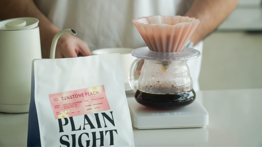 Sunstone Peach: Plain Sight's New Colombia Single Origin Coffee
