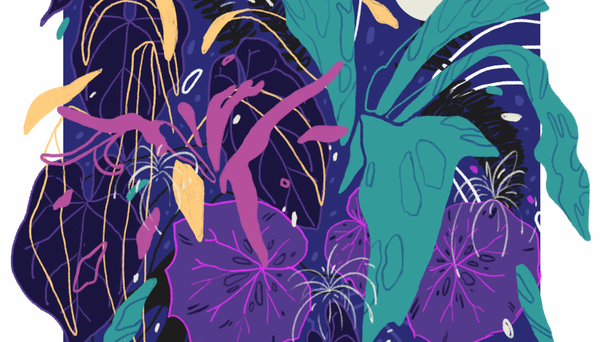 A Burst of Delight: The Lee Caces x Plain Sight Collaboration