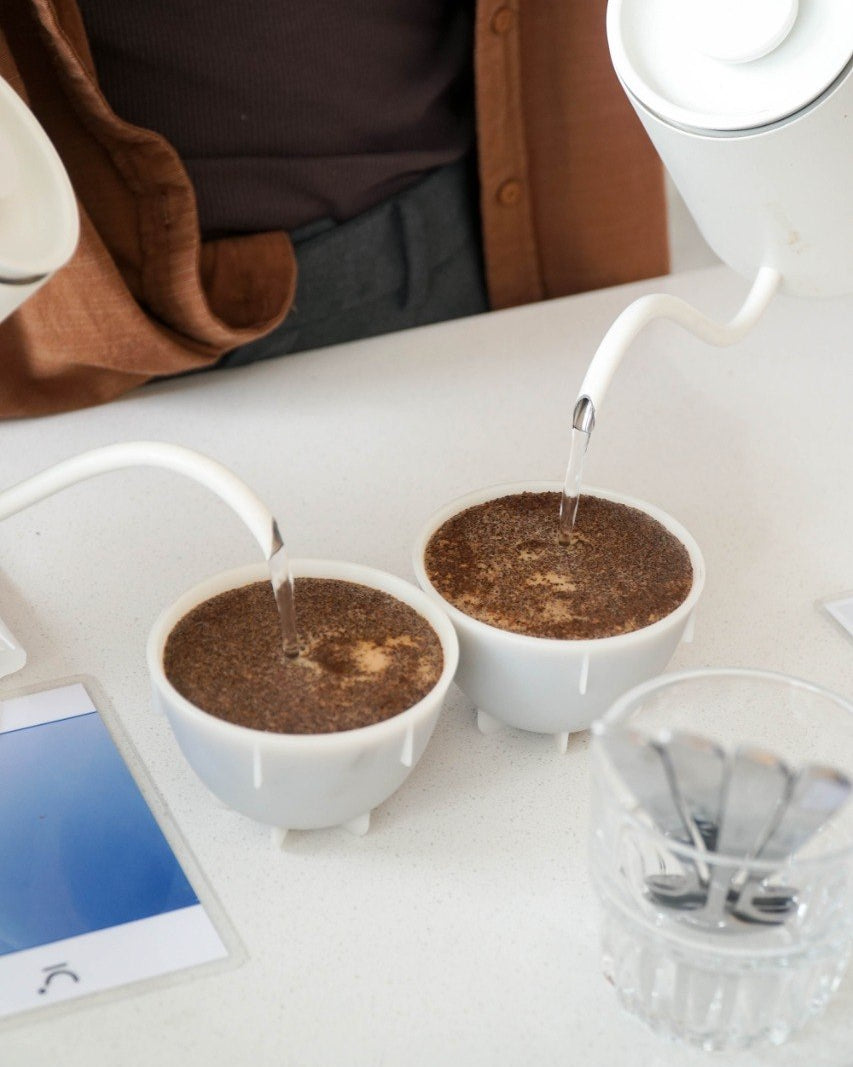 Coffee Tasting & Cupping Workshop
