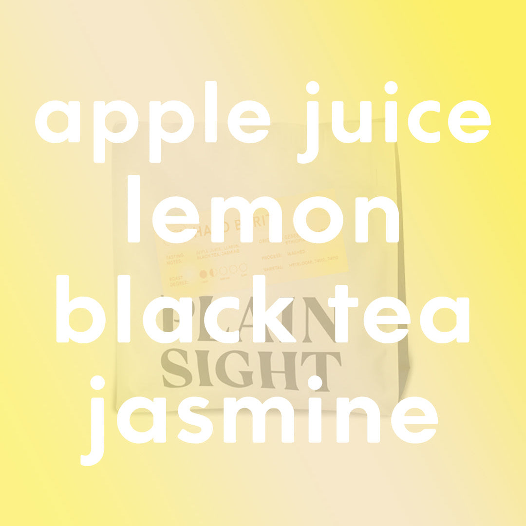 Ethiopia Halo Bariti