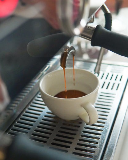Barista 101: Espresso Basics Workshop