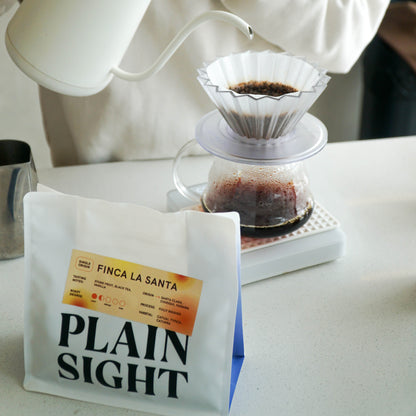 Panama Finca La Santa