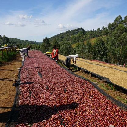 Burundi Kayanza