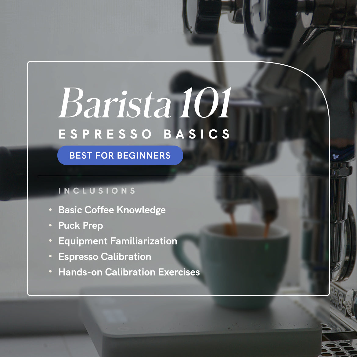 Barista 101: Espresso Basics Workshop – Plain Sight Coffee