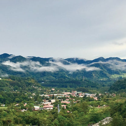 Panama Finca La Santa