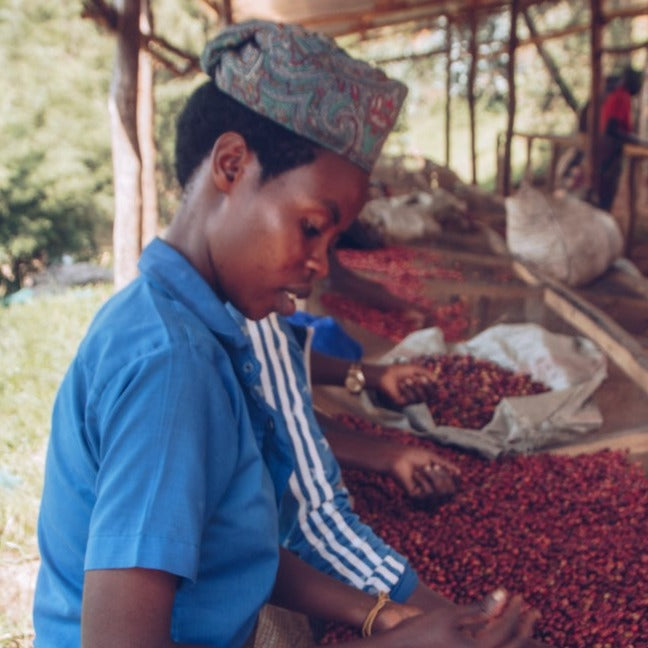Rwanda Kayumbu